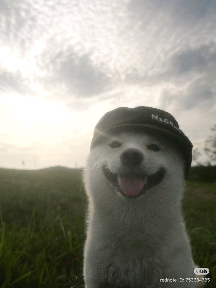 default avatar